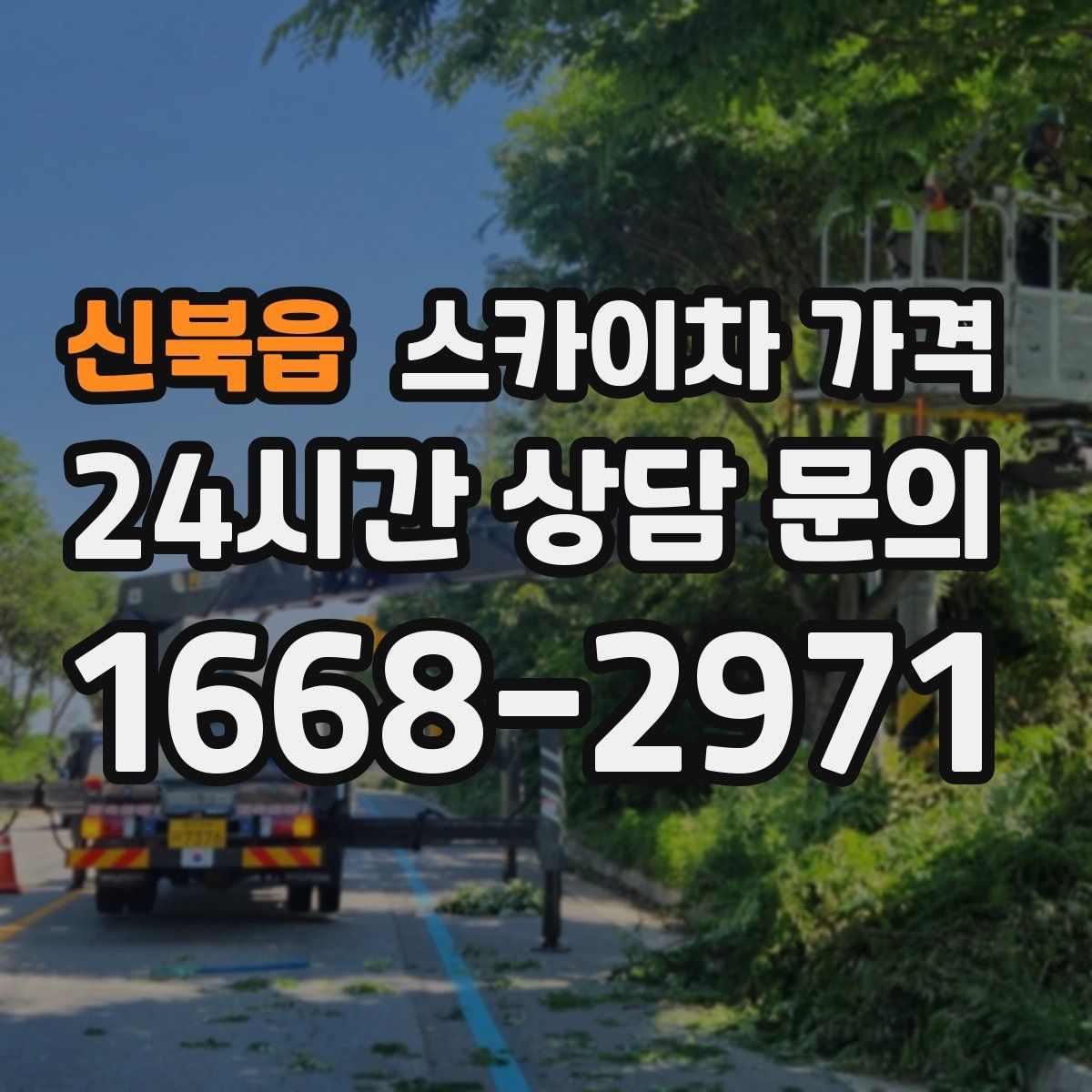 신북읍 스카이차 가격