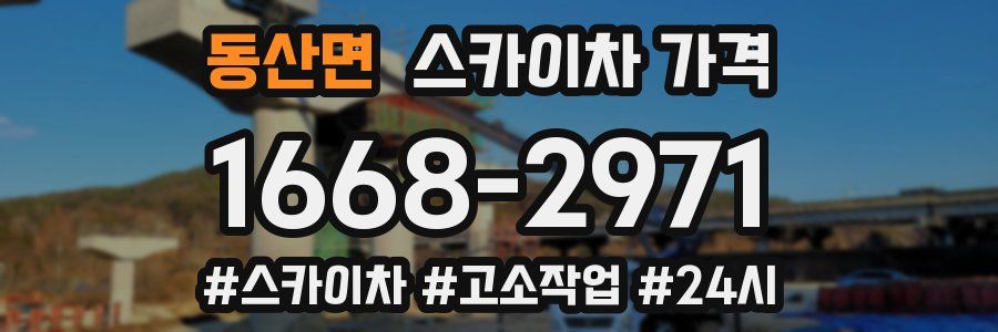 동산면 스카이차 가격