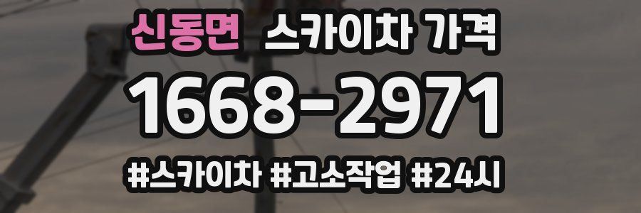 신동면 스카이차 가격