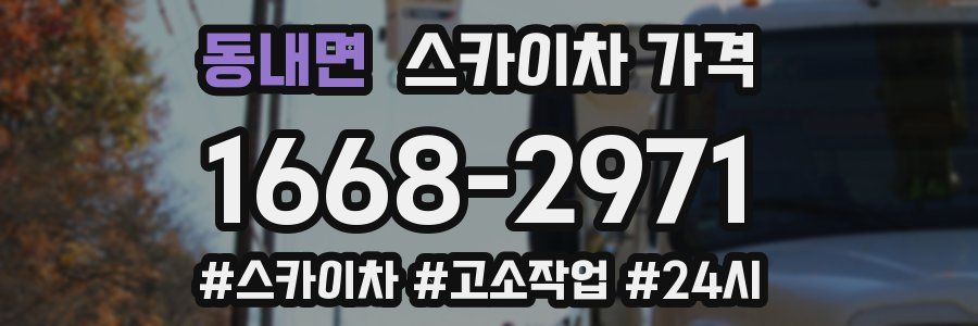 동내면 스카이차 가격