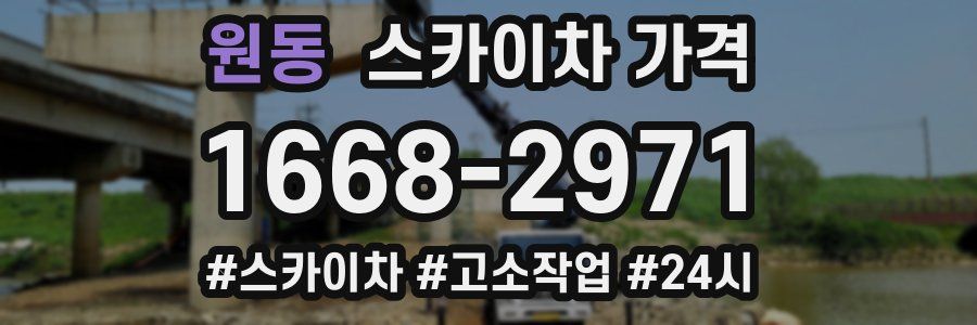 원동 스카이차 가격