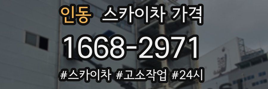 인동 스카이차 가격