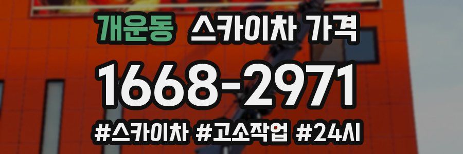 개운동 스카이차 가격