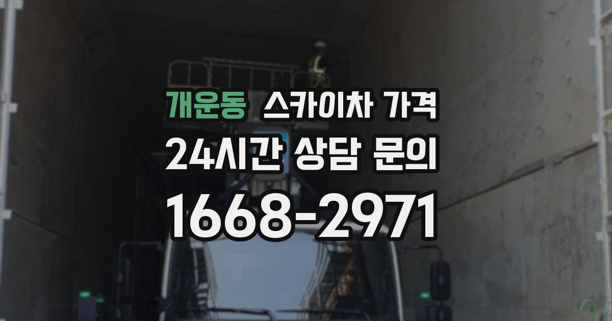 개운동 스카이차 가격