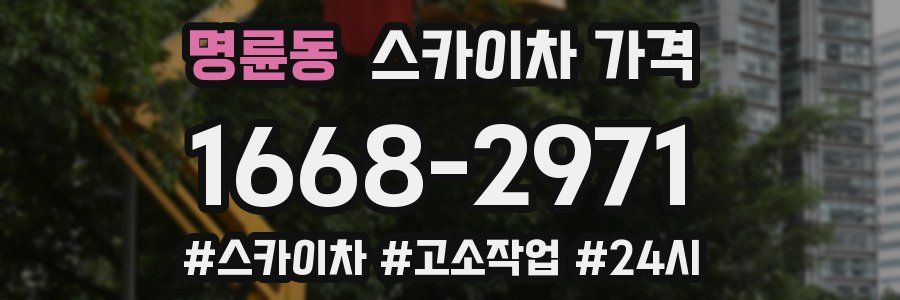 명륜동 스카이차 가격