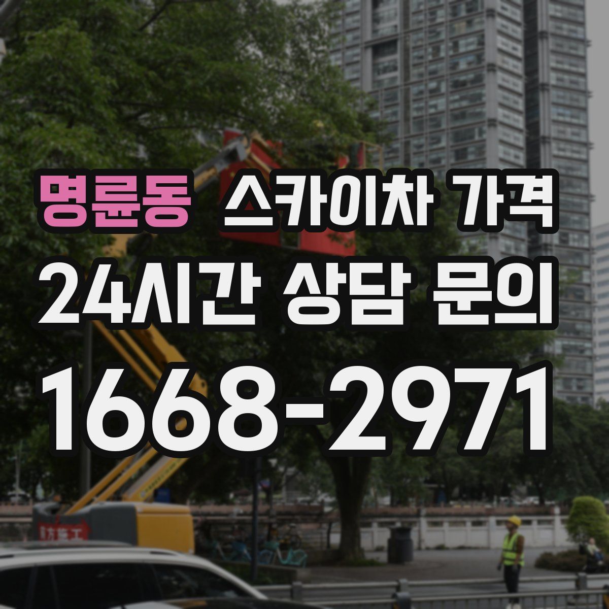 명륜동 스카이차 가격