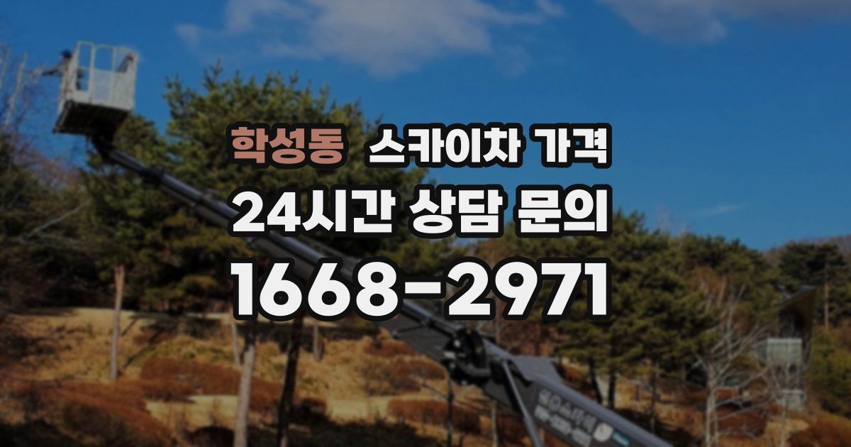 학성동 스카이차 가격