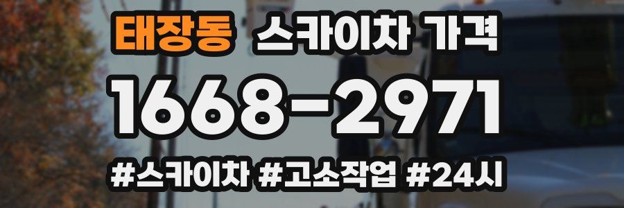 태장동 스카이차 가격