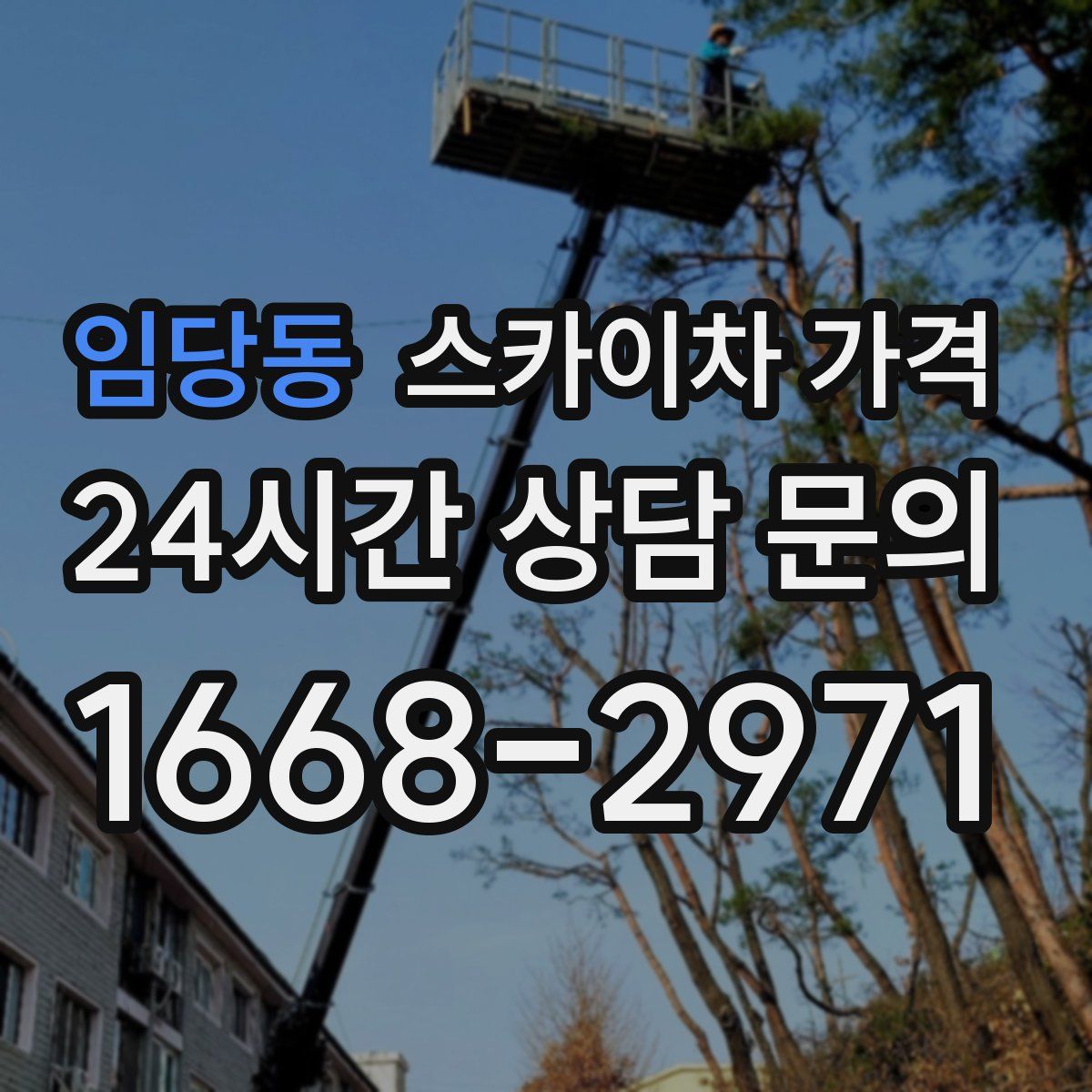 임당동 스카이차 가격