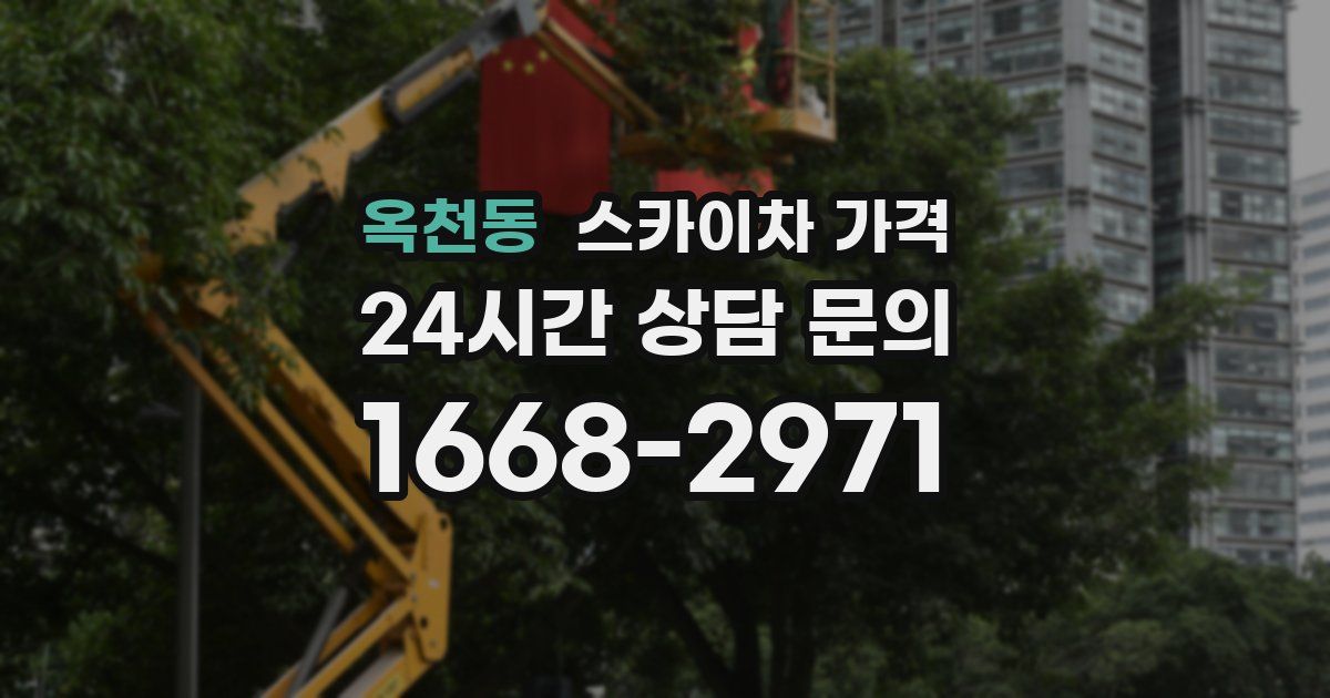옥천동 스카이차 가격