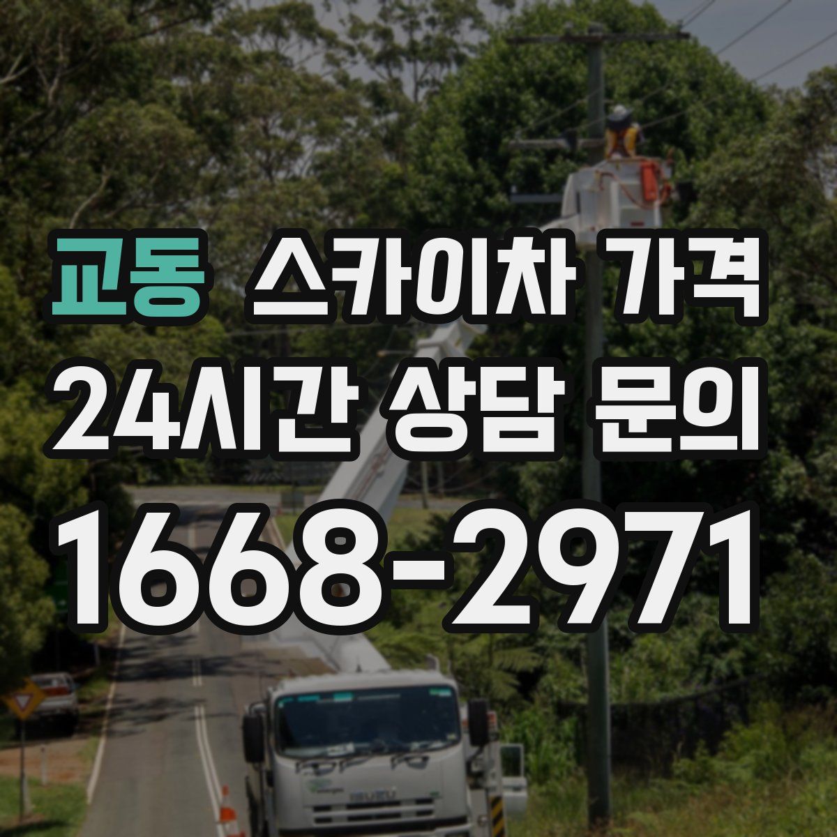 교동 스카이차 가격