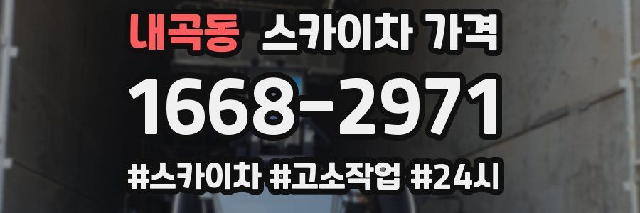 내곡동 스카이차 가격