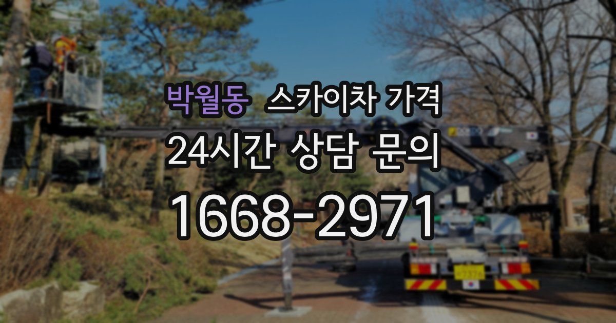 박월동 스카이차 가격