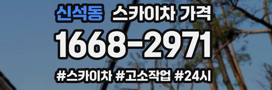 신석동 스카이차 가격