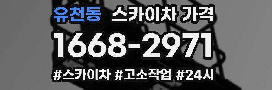 유천동 스카이차 가격