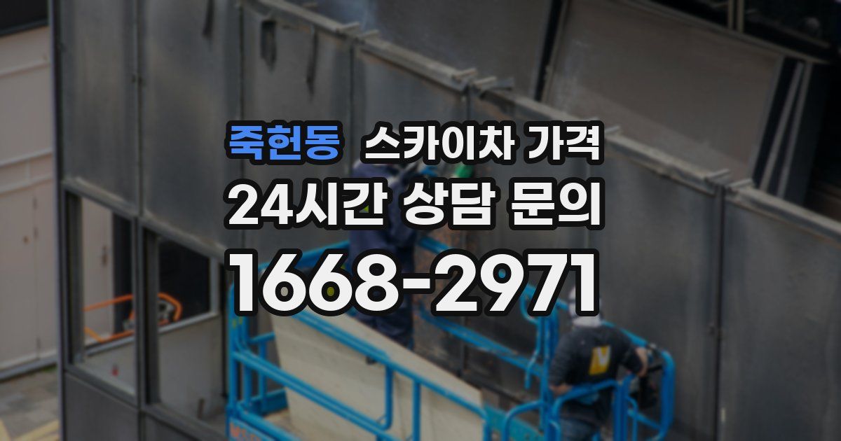 죽헌동 스카이차 가격