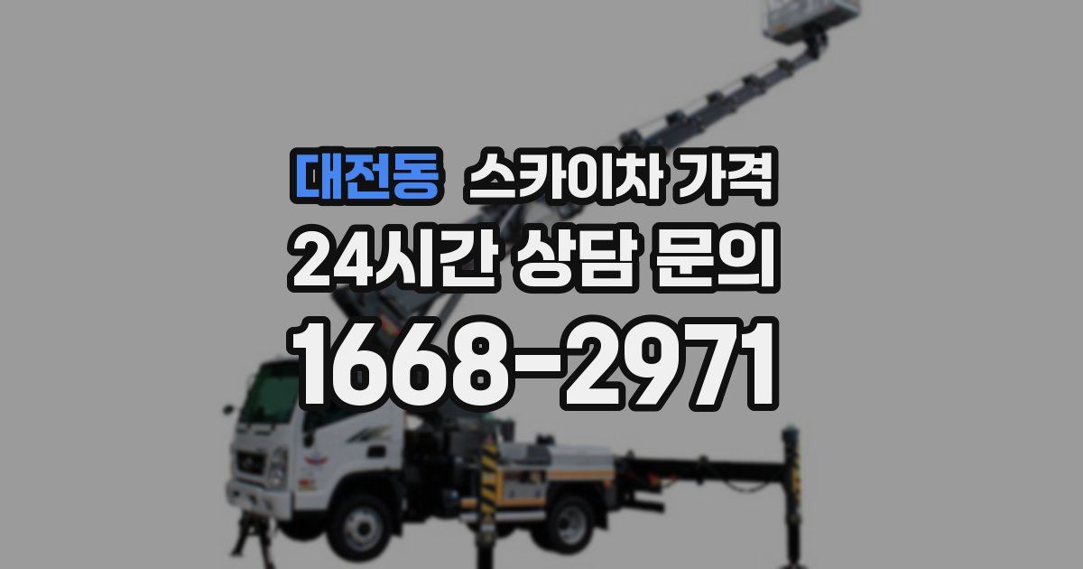 대전동 스카이차 가격