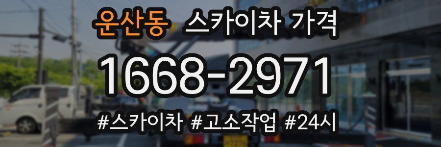 운산동 스카이차 가격