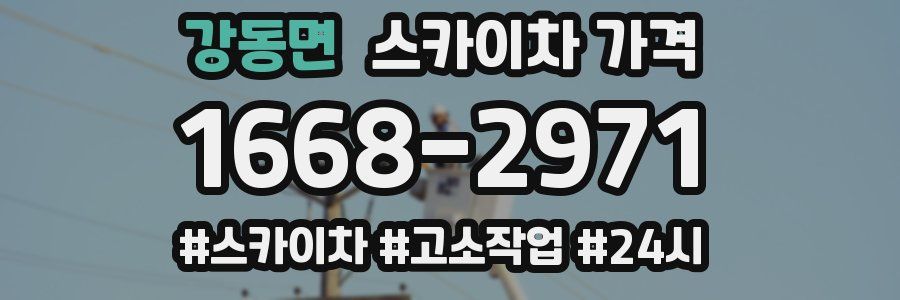 강동면 스카이차 가격