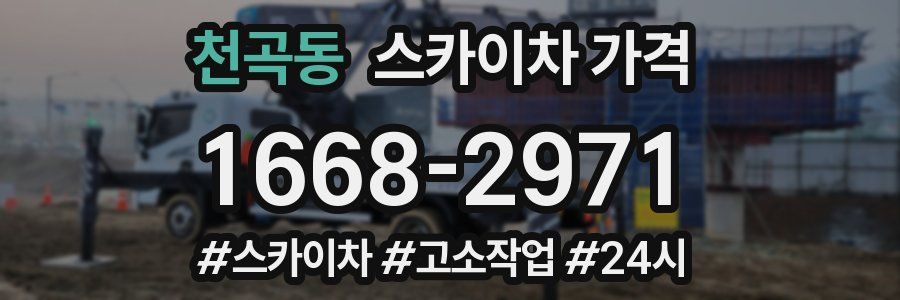 천곡동 스카이차 가격