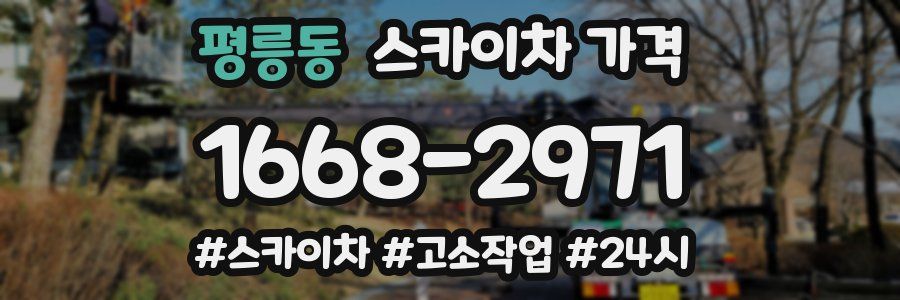 평릉동 스카이차 가격