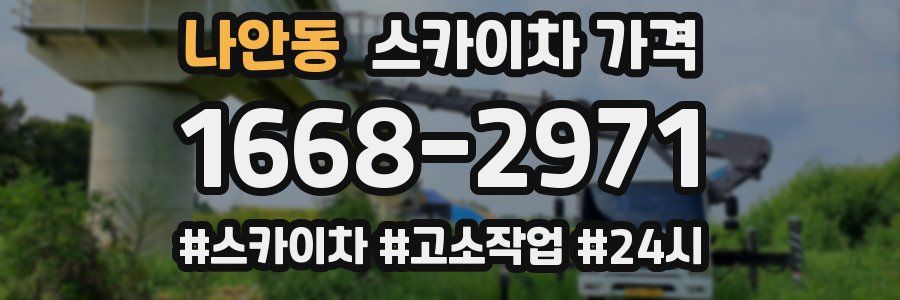 나안동 스카이차 가격