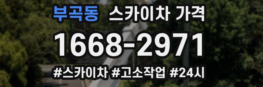 부곡동 스카이차 가격