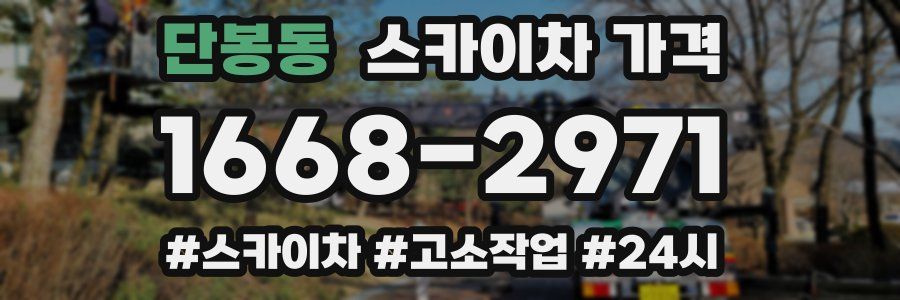 단봉동 스카이차 가격