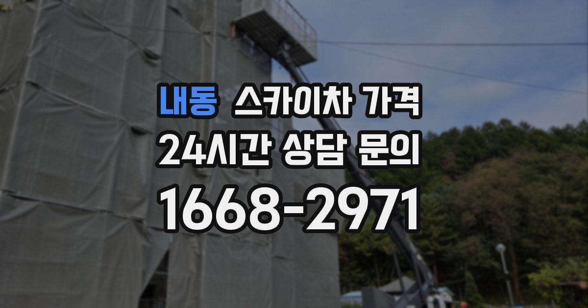 내동 스카이차 가격
