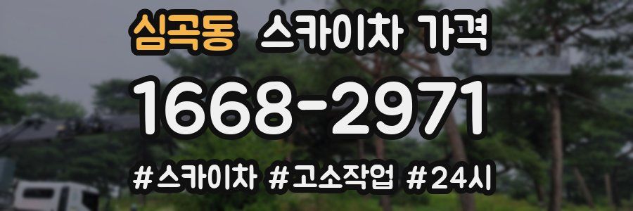 심곡동 스카이차 가격