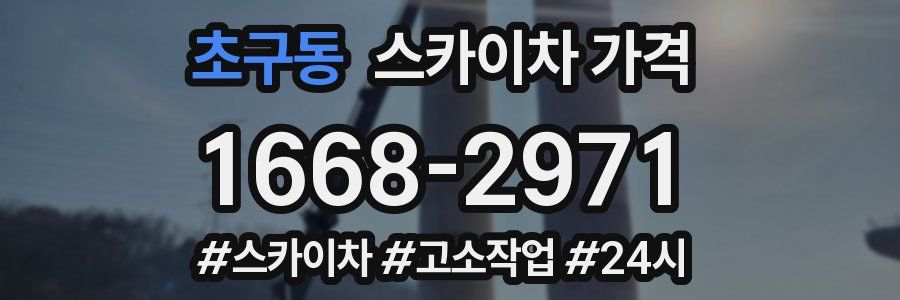 초구동 스카이차 가격