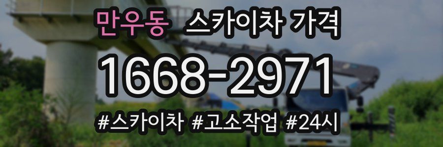 만우동 스카이차 가격