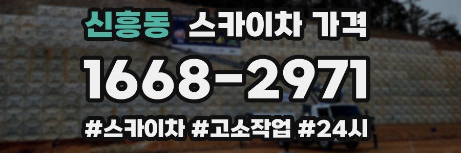 신흥동 스카이차 가격