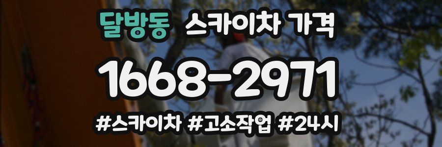 달방동 스카이차 가격