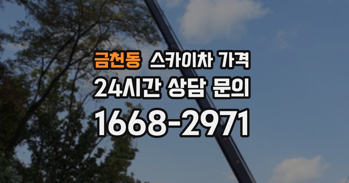 금천동 스카이차 가격