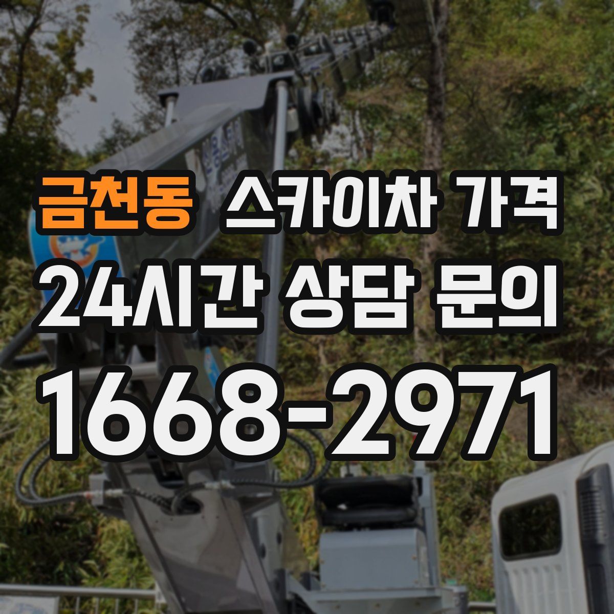 금천동 스카이차 가격