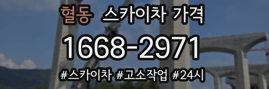 혈동 스카이차 가격