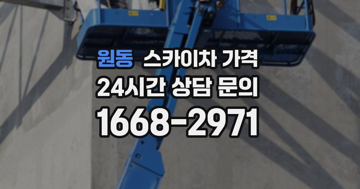 원동 스카이차 가격