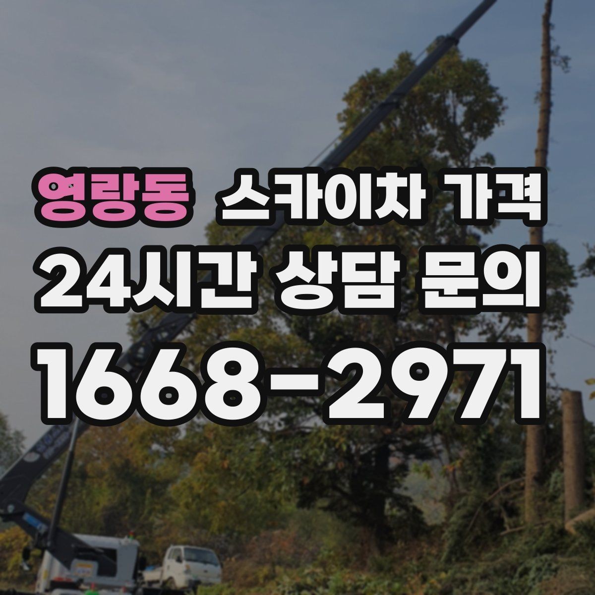 영랑동 스카이차 가격 전화보다 사진 문의가 빠른 이유