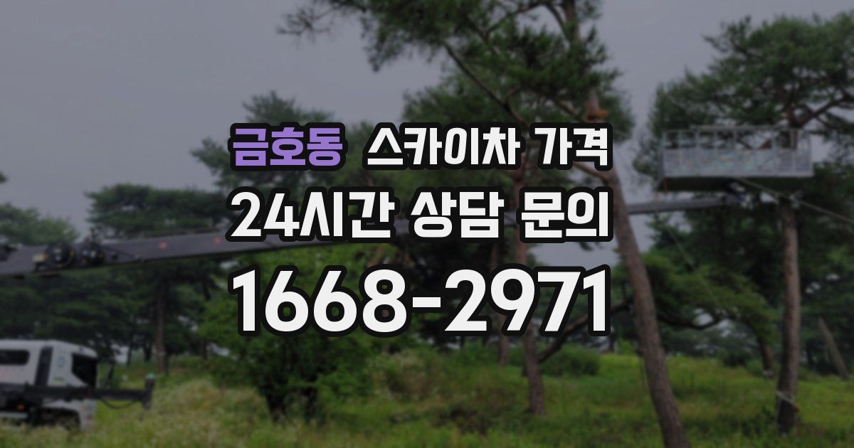 금호동 스카이차 가격