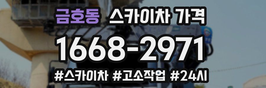 금호동 스카이차 가격