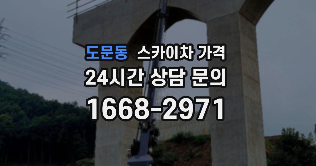 도문동 스카이차 가격