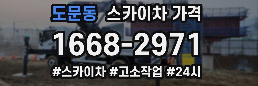 도문동 스카이차 가격