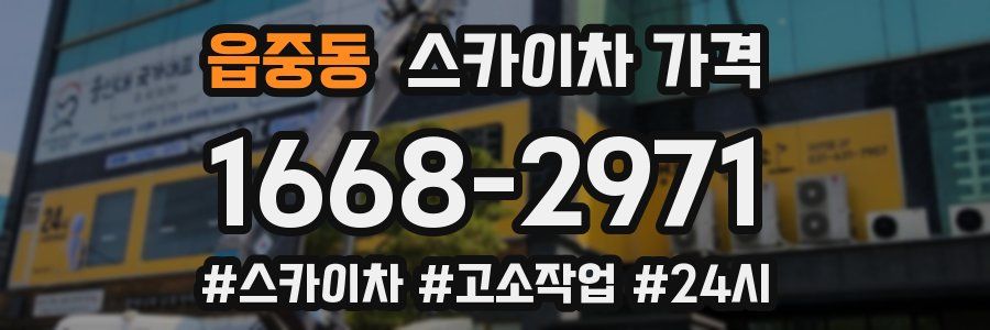 읍중동 스카이차 가격