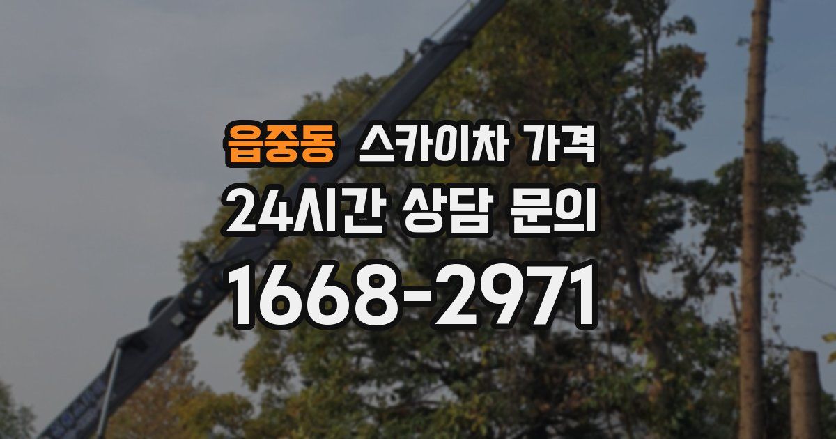 읍중동 스카이차 가격