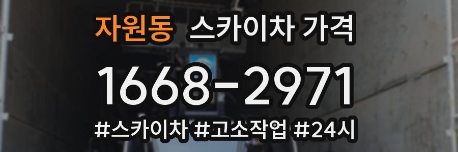 자원동 스카이차 가격