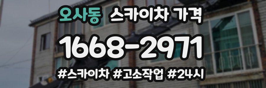오사동 스카이차 가격