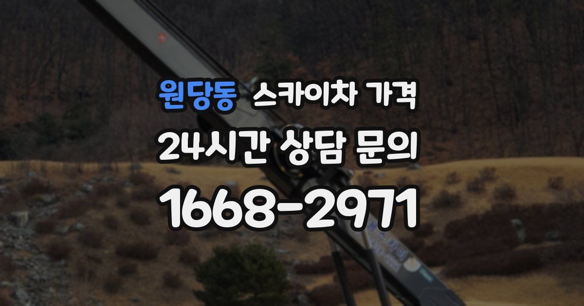 원당동 스카이차 가격