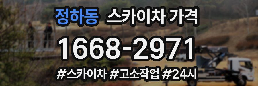 정하동 스카이차 가격