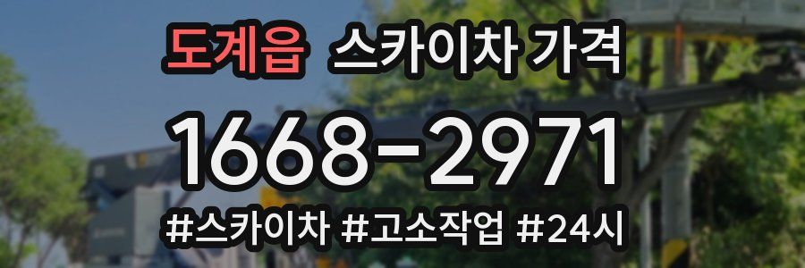 도계읍 스카이차 가격